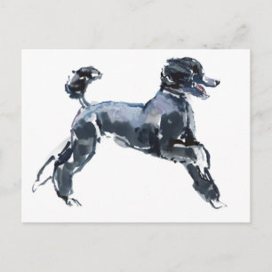 Sheer Class 2013 Postkarte