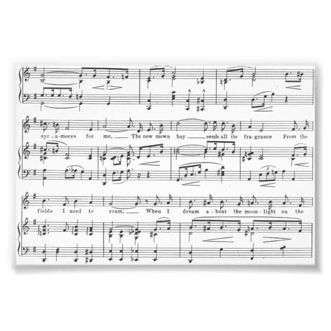Sheet Music Black and White Pattern Fotodruck (Vorne)