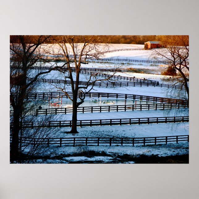 Sheet Music Poster (Vorne)