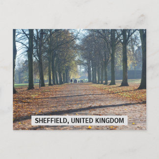 Sheffield, United Kingdom Postcard Postkarte