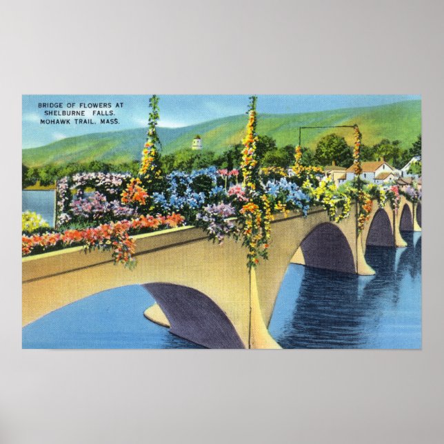 Shelburne Falls Bridge of Blume Poster (Vorne)