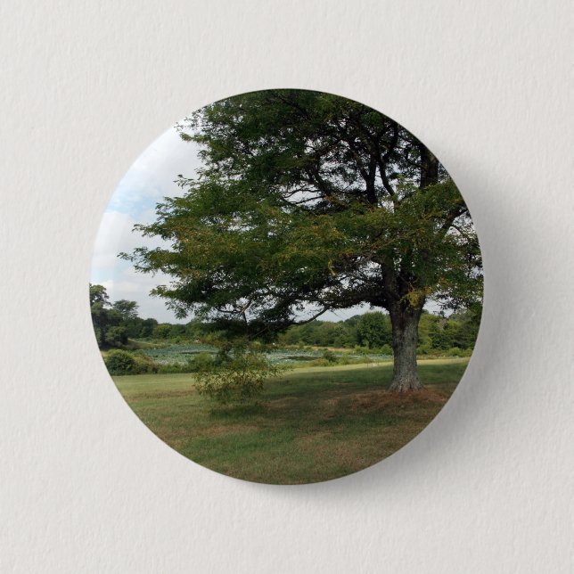 Shelby-Betriebe Button (Vorderseite)