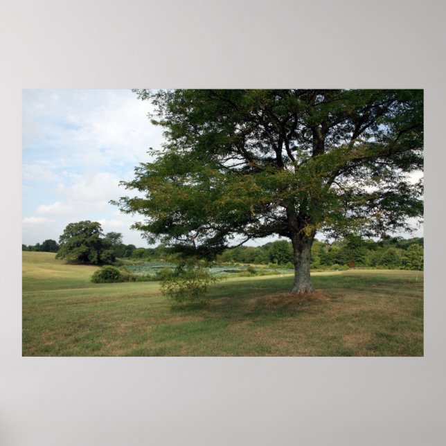 Shelby-Betriebe Poster (Vorne)