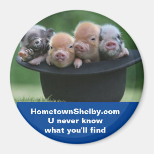 Shelby NC-Magnet Magnet