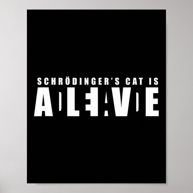 Sheldon Schroedingers Katze - tot und lebendig Poster (Vorne)