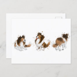 Sheldon the Sheltie Drei Posen Postkarte