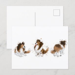 Sheldon the Sheltie Drei Posen Postkarte