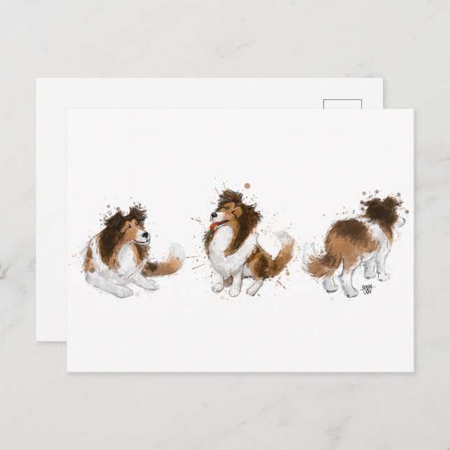 Sheldon the Sheltie Drei Posen Postkarte (Vorne/Hinten)