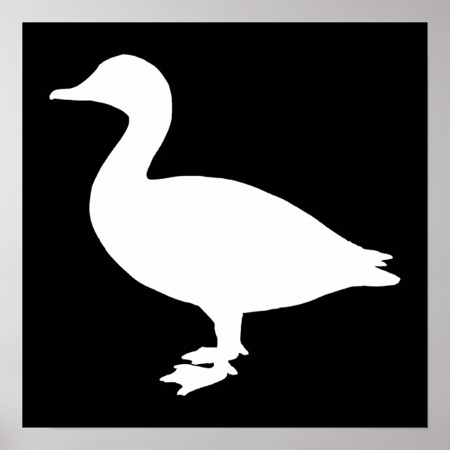 Sheldrake Duck Poster (Vorne)