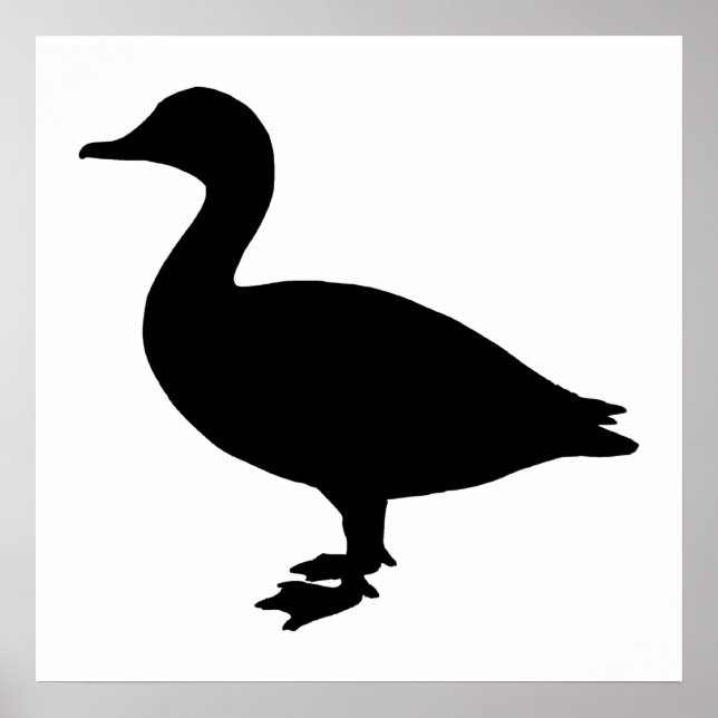 Sheldrake Duck Poster (Vorne)