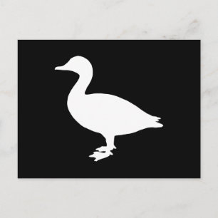 Sheldrake Duck Postkarte