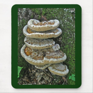 Shelf Fungi auf Stump Mousepad