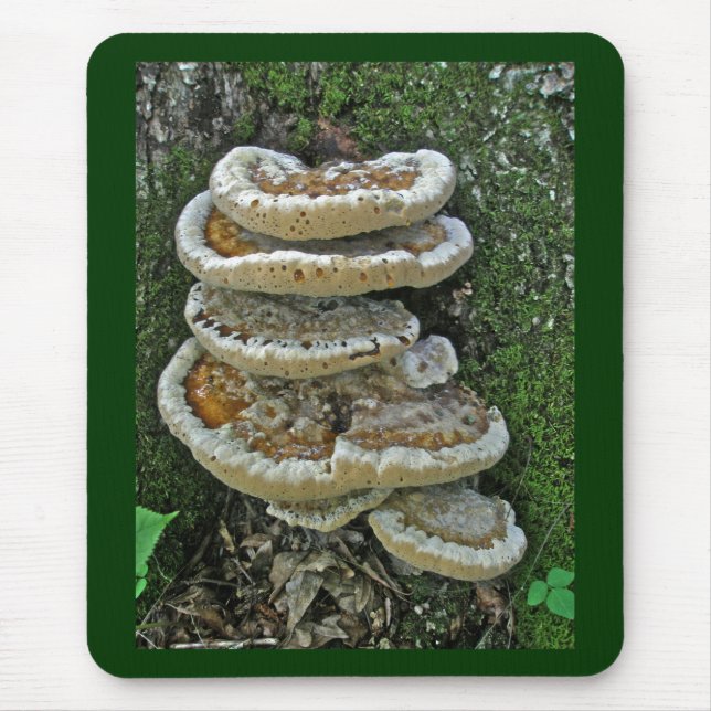 Shelf Fungi auf Stump Mousepad (Vorne)