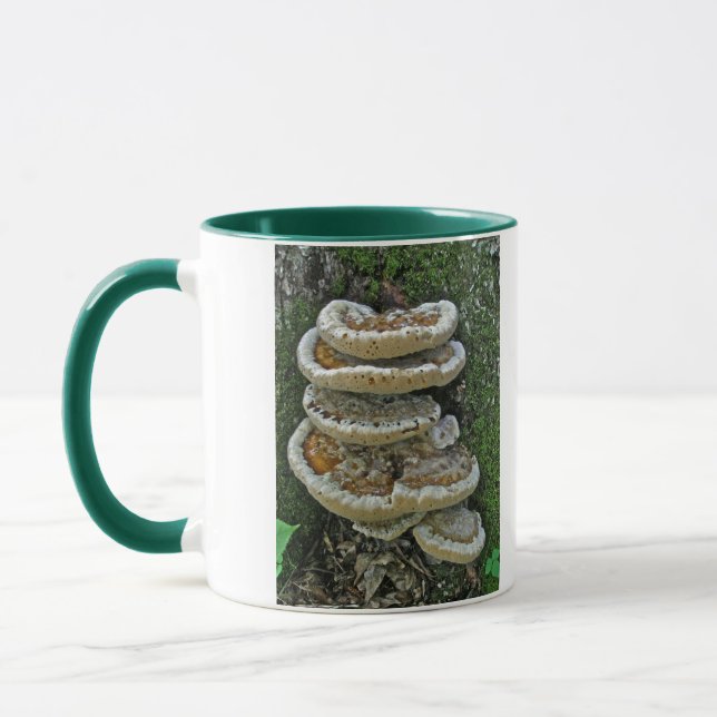 Shelf Fungi auf Stump Tasse (Links)