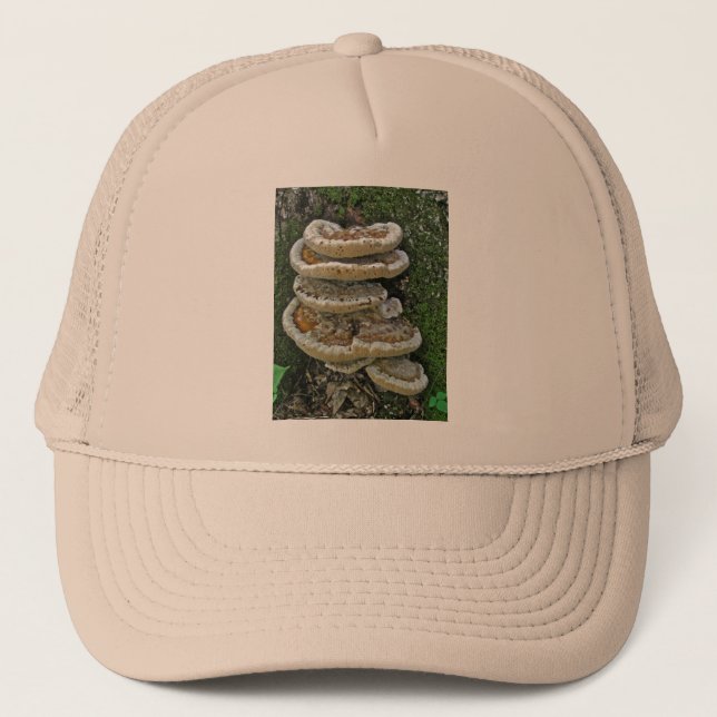 Shelf Fungi auf Stump Truckerkappe (Vorderseite)