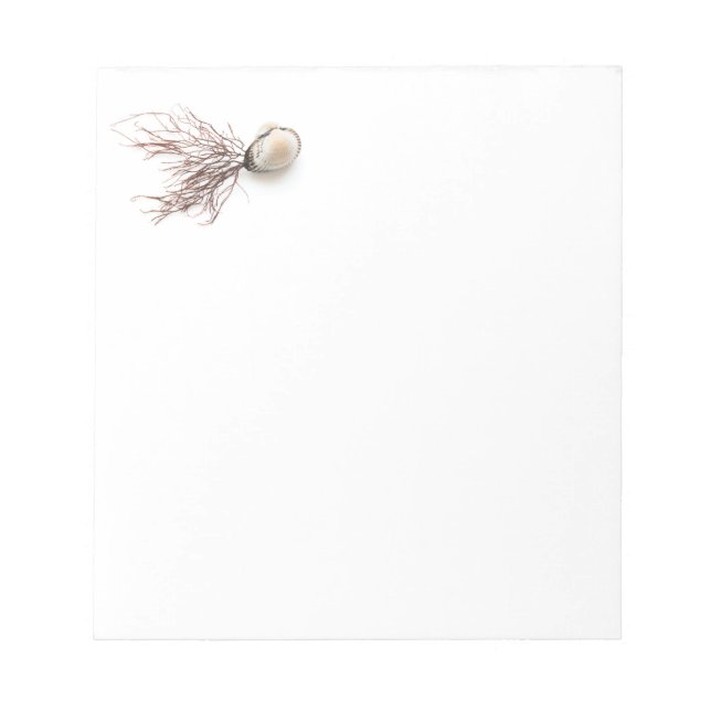 Shellfish Notizblock (Vorderseite)