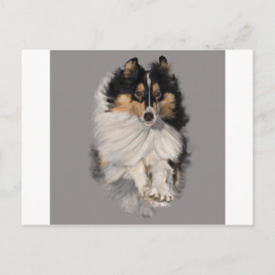 Shellie unterwegs postkarte