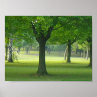 Shellis Canvas Print, uneingerahmt "Der Zauberwald Poster