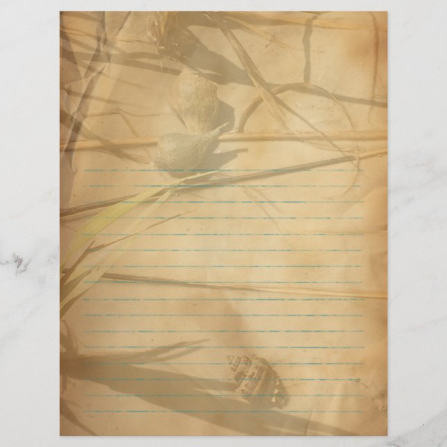 Shells in Grass Vintage Lined Binder Paper Flyer (Vorne)