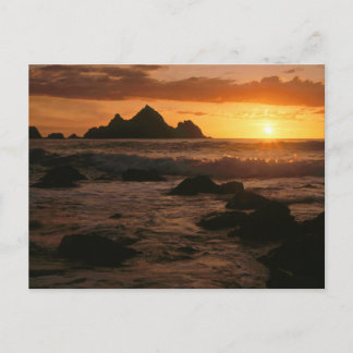 Shelter Cove Postkarte