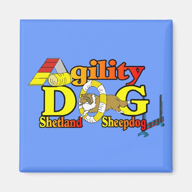 Sheltie Agility Shetland Sheepdog Geschenke Magnet (Vorne)