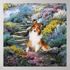 Sheltie Art wo Liebe wächst Poster