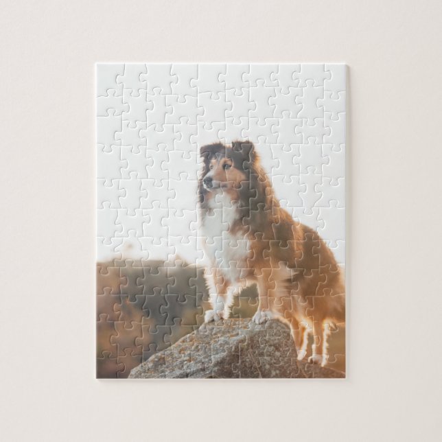 Sheltie auf dem Klippenschützen gehört während des Puzzle (Vertikal)