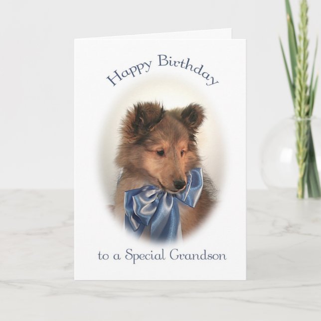 Sheltie Birthday Card für Grandson Karte (Vorderseite)