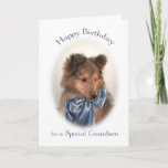 Sheltie Birthday Card für Grandson Karte<br><div class="desc">Diese bezaubernde Shetland Sheepdog Welpen-Geburtstagskarte ist fast so niedlich wie Ihr Enkel!</div>