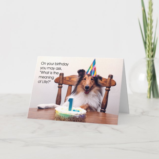 Sheltie Birthday Card Karte (Vorderseite)