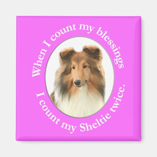 Sheltie Blessing Magnet (Vorne)