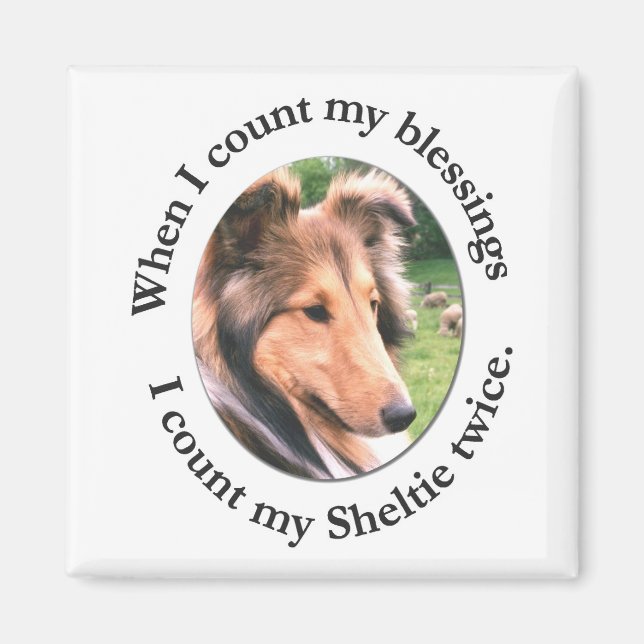 Sheltie Blessing Magnet (Vorne)