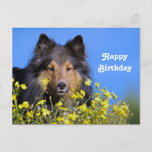 Sheltie Blumen Foto Geburtstag Postkarte