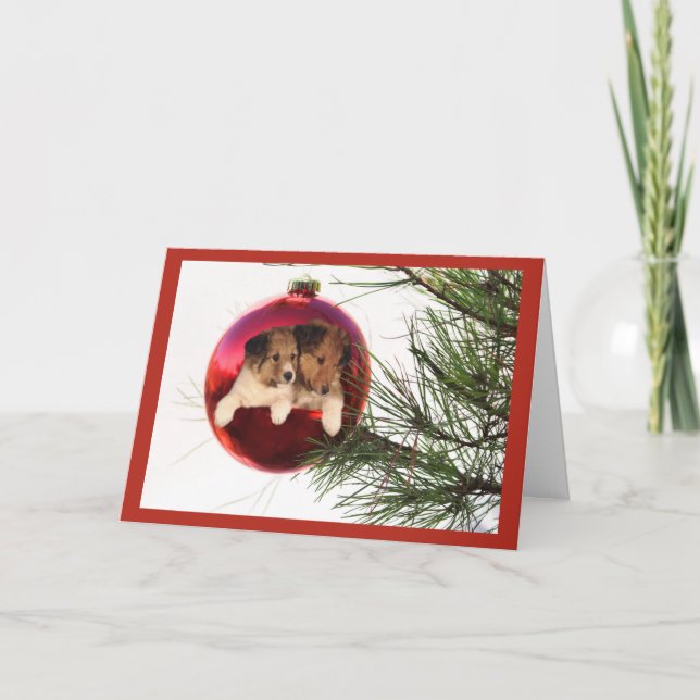 Sheltie Christmas Card Ball Hanging Feiertagskarte (Vorderseite)