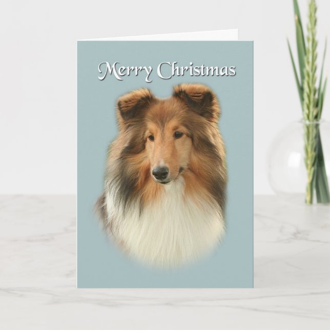 Sheltie Christmas Card Feiertagskarte (Vorderseite)
