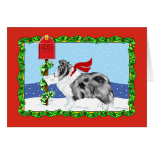 Sheltie Christmas Mail Bi Blue