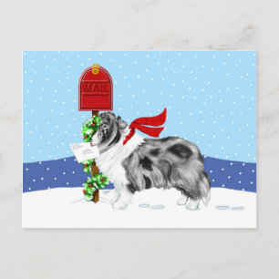 Sheltie Christmas Mail Bi Blue Feiertagspostkarte