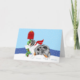Sheltie Christmas Mail Blue Merle Feiertagskarte
