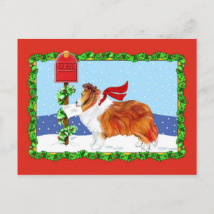 Sheltie Christmas Mail Sable Feiertagspostkarte