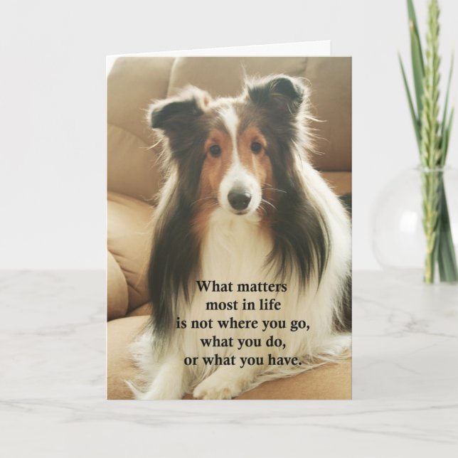 Sheltie danken Ihnen zu kardieren Dankeskarte (Vorderseite)