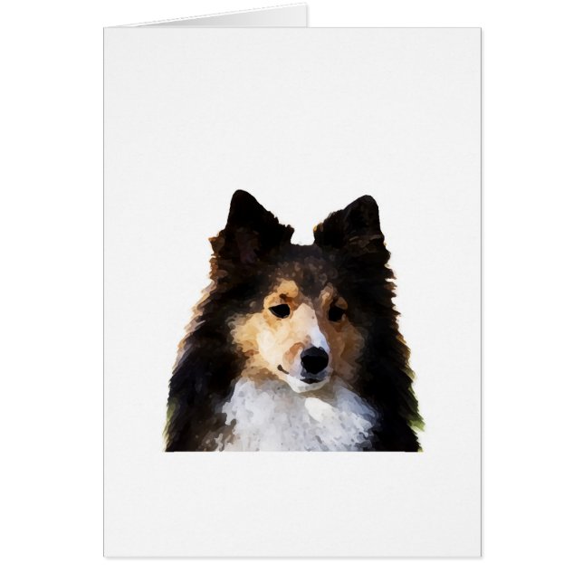 Sheltie Dog Malerkizze (Vorne)