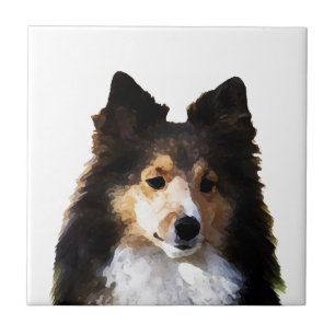 Sheltie Dog Malerkizze Fliese