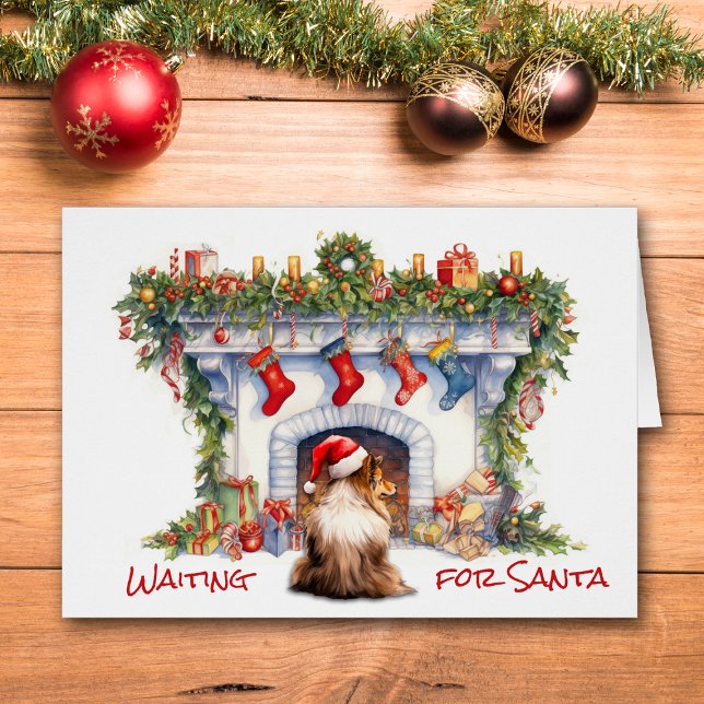 Sheltie Dog warten auf Weihnachts-Feuerplatz (Von Creator hochgeladen)