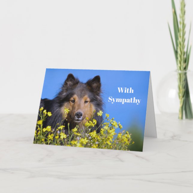 Sheltie Floral Foto Beileid Karte (Vorderseite)