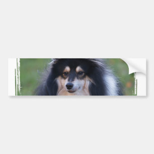 Sheltie Foto-Autoaufkleber Autoaufkleber