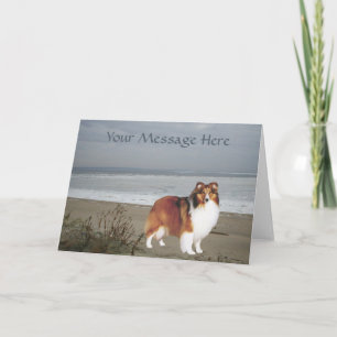 Sheltie Greeting Card Karte