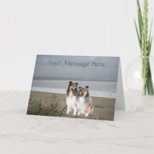 Sheltie Grußkarte Karte