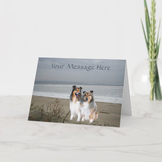 Sheltie Grußkarte Karte (Vorderseite)