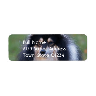 Sheltie Hund Rücksendeadresse