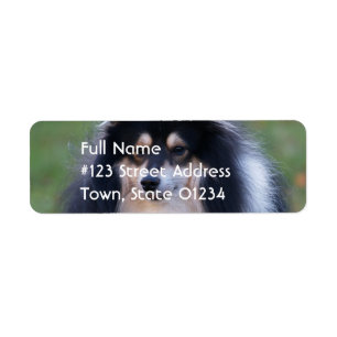 Sheltie HundeRücksendeadresse-Aufkleber